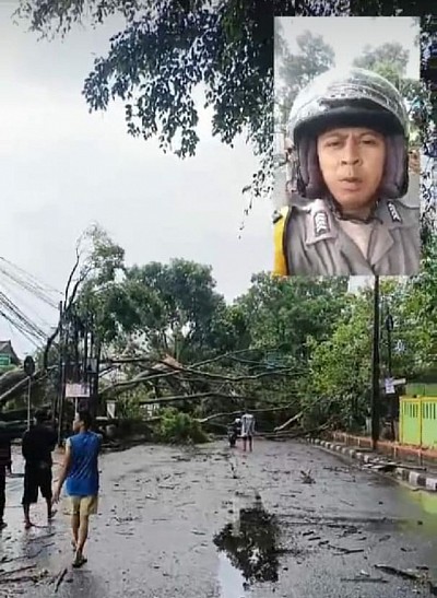 POHON TUMBANG DI JALAN BAROS DEPAN GEREJA SANTOIGNATIUS BAROS